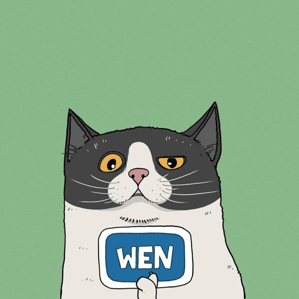 Toly Cat