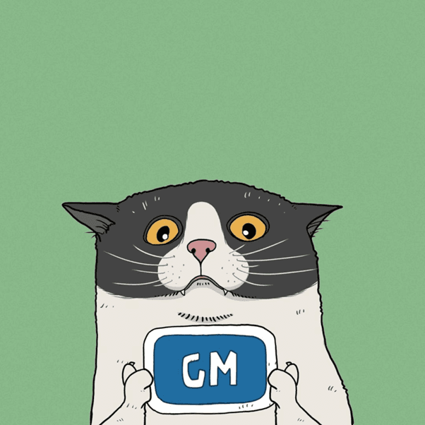 Toly Cat